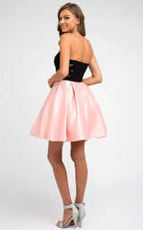 6 of 6 Juliet 829 Rose