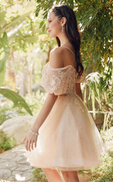 4 of 5 Juliet 886 Champagne