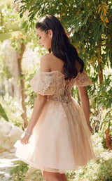 5 of 5 Juliet 886 Champagne