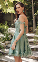 9 of 10 Juliet 903 Sage Green