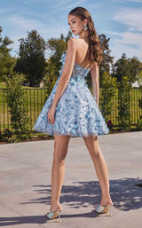 5 of 5 LaDivine KV1089 Paris Blue