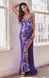 5 of 21 LaDivine B1141 Nova-Purple