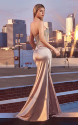 8 of 9 LaDivine C161 Champagne