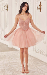 3 of 8 LaDivine CD0236 Blush