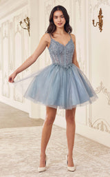 1 of 8 LaDivine CD0236 Smoky-Blue