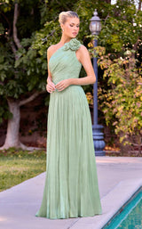 11 of 16 Ladivine CD415 Summer Sage