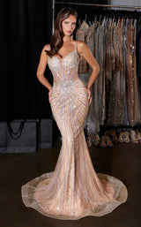 2 of 5 Ladivine CD658 Champagne/Gold