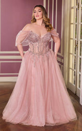 4 of 6 Ladivine CD721C Mauve
