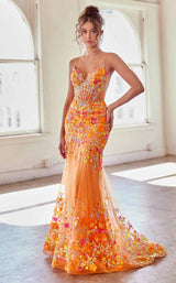 1 of 2 LaDivine CK946 Orange