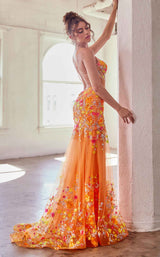 2 of 2 LaDivine CK946 Orange