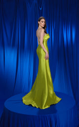 11 of 12 Modessa Couture M24607 Kiwi