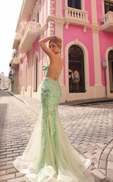 16 of 17 Nox Anabel C1416 Sage Green