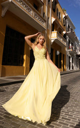 2 of 7 Nox Anabel C1462 Lemon