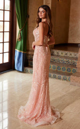 18 of 21 Nox Anabel C1599 Blush