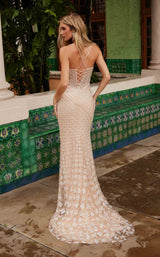 11 of 12 Nox Anabel C1603 Champagne