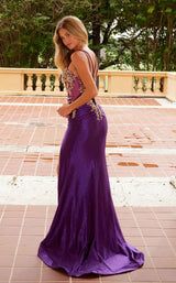 27 of 31 Nox Anabel C1613 Plum/Gold