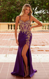 13 of 31 Nox Anabel C1613 Plum/Gold