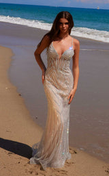 10 of 42 Nox Anabel C1632 Silver/Nude