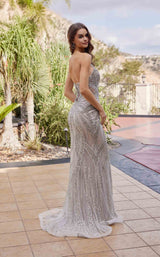4 of 4 Nox Anabel C1833 Silver/Nude