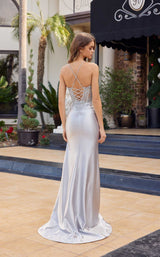 12 of 12 Nox Anabel C1841 Silver