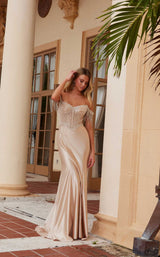 6 of 30 Nox Anabel F1568 Champagne