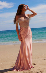 24 of 30 Nox Anabel F1568 Rose