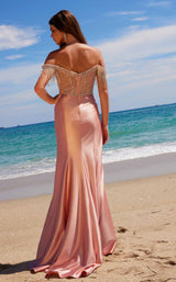 27 of 30 Nox Anabel F1568 Rose
