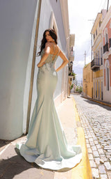 7 of 9 Nox Anabel G1364 Sage Green