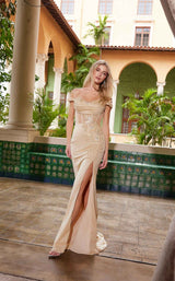 5 of 14 Nox Anabel H1668 Champagne