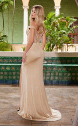 11 of 14 Nox Anabel H1668 Champagne