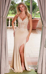 4 of 20 Nox Anabel H1683 Champagne