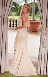 16 of 20 Nox Anabel H1683 Champagne