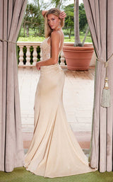 17 of 20 Nox Anabel H1683 Champagne