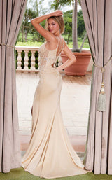 18 of 20 Nox Anabel H1683 Champagne
