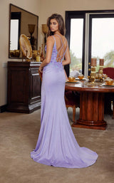 5 of 13 Nox Anabel H1873 Lilac