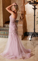19 of 23 Nox Anabel Q1541 Rose