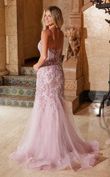 20 of 23 Nox Anabel Q1541 Rose