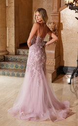 21 of 23 Nox Anabel Q1541 Rose