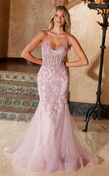 9 of 23 Nox Anabel Q1541 Rose