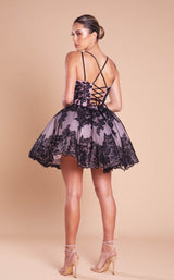 6 of 6 Portia and Scarlett PS21007 Black-Blush