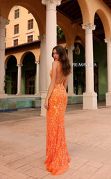 11 of 14 Primavera Couture 4150 Orange