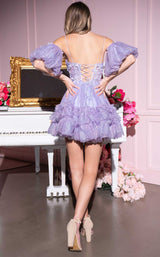 13 of 14 Rachel Allan 40527 Lilac