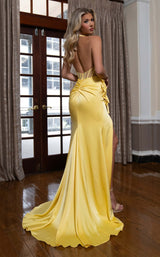 8 of 8 Rachel Allan 70786 Yellow