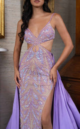 17 of 18 Rachel Allan 70929 Dress