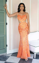 8 of 11 Rachel Allan 71007 Tangerine