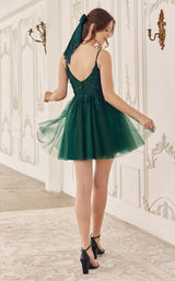 8 of 11 LaDivine SF047 Emerald