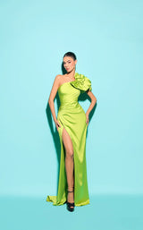1 of 2 Tarik Ediz 53212 Lime