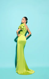 2 of 2 Tarik Ediz 53212 Lime