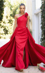 3 of 6 Terani 242E3110 Red