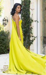 8 of 8 Terani 242E3133 Citirne